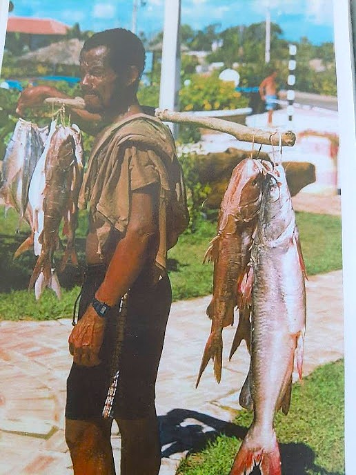 Bonito Guaratiba